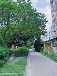 🌿桃園中壢散步秘境｜老街溪自行車道，綠蔭樹下的城市靜旅