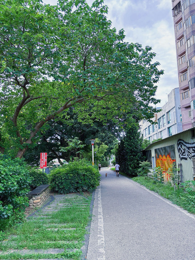 🌿桃園中壢散步秘境｜老街溪自行車道，綠蔭樹下的城市靜旅