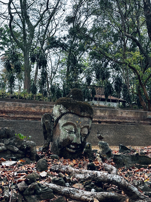 Wat Umong thriving meditation center of 13th century 
