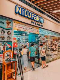 A Calm Lunch Escape at Atria Shopping Gallery
