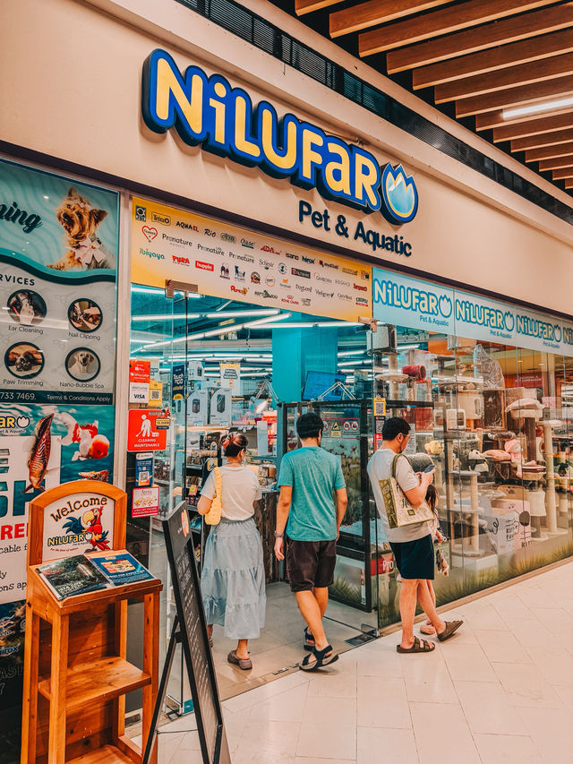 A Calm Lunch Escape at Atria Shopping Gallery