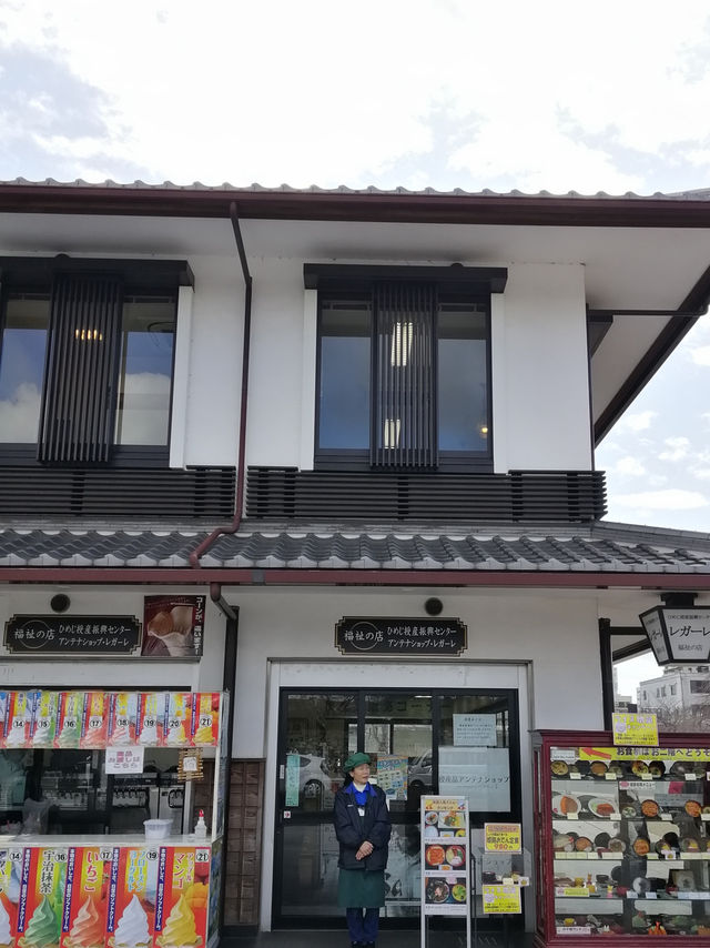 6 Days, 6 Cities, and One Pair of Tired Feet: My Japan Journey