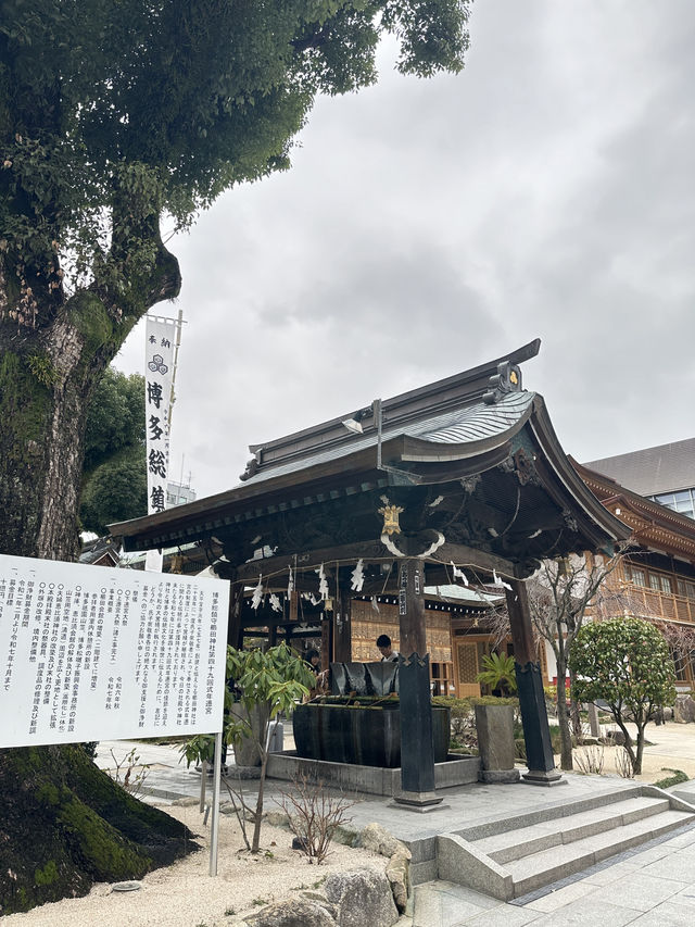 ศาลเจ้าศักดิ์สิทธิในฟุกุโอกะ 🇯🇵