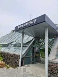 고산 지대 식물들이 전시되어 있는 알파인하우스🏡
