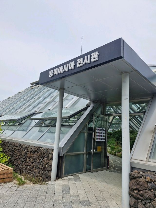 고산 지대 식물들이 전시되어 있는 알파인하우스🏡