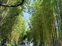 【中国・昆明 翠湖公園】緑と水に癒される昆明の「翠湖公園」