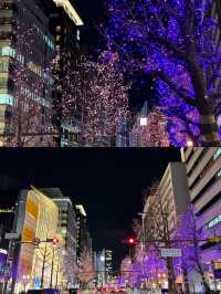 🇯🇵 Osaka the Colorful City