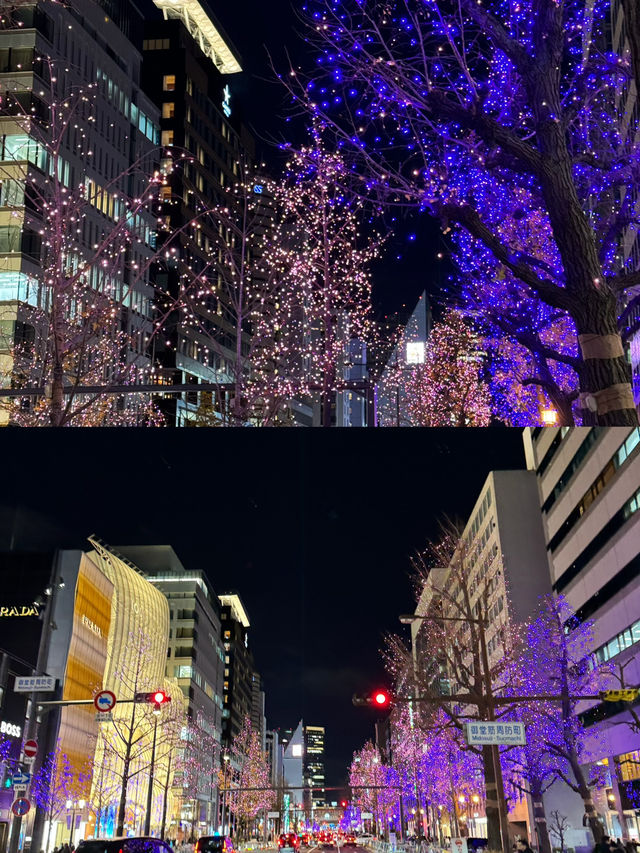 🇯🇵 Osaka the Colorful City