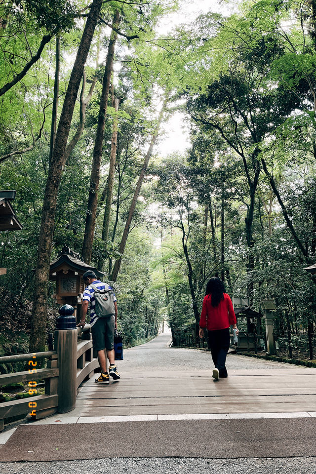沒有本殿？御神體是一座山？拜訪三輪山大神神社！⛩