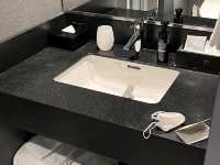The Gate Hotel Ryogoku by Hulic（兩國）