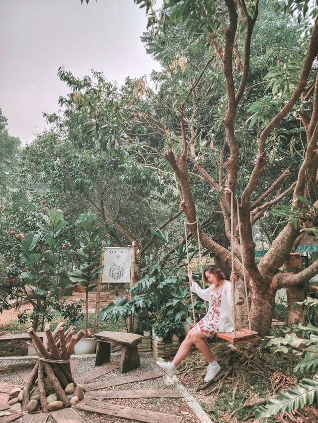 Cafe Hopping in Chiang Rai – A Must for Coffee & Photo Lovers! 📸☕
