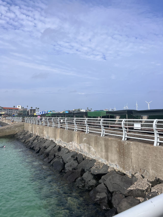 제주도 스노쿨링 명소 판포포구 🐠💙