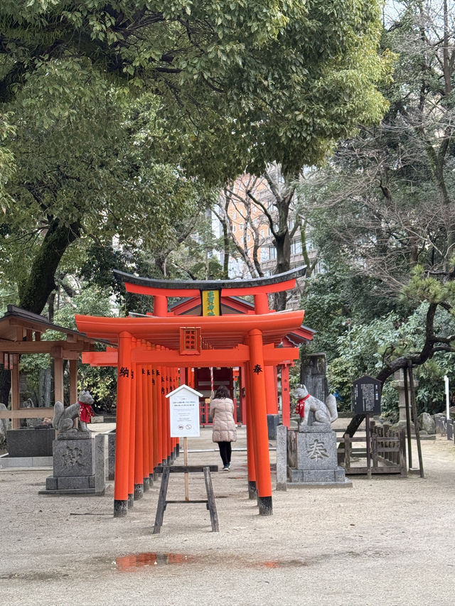  ⛩ 후쿠오카 여행기  “홋케클럽 호텔 → 신사산책 → 라멘 → 다자이후까지, 후쿠오카 도심&근교 하루코스”