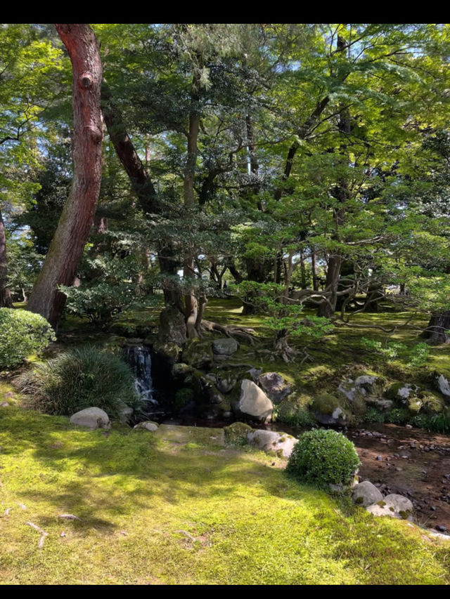 加賀百万石の歴史に触れる🏯金沢城公園でタイムトラベル気分の旅