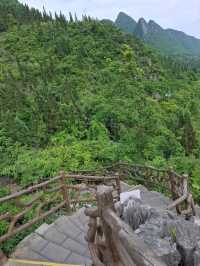 天下山峰何其多  唯有此處峰成林