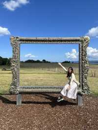 🇳🇿 Fluffy Friends & Open Fields – A Day at Ambury Regional Park