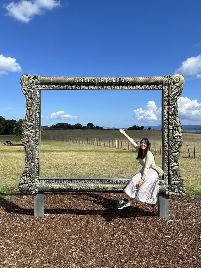 🇳🇿 Fluffy Friends & Open Fields – A Day at Ambury Regional Park