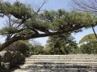 🏯 A Walk Through Time at Hiroshima Castle
