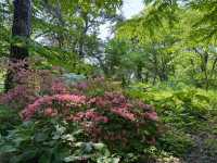 圓山公園登頂