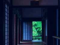 京都🇯🇵青蓮院