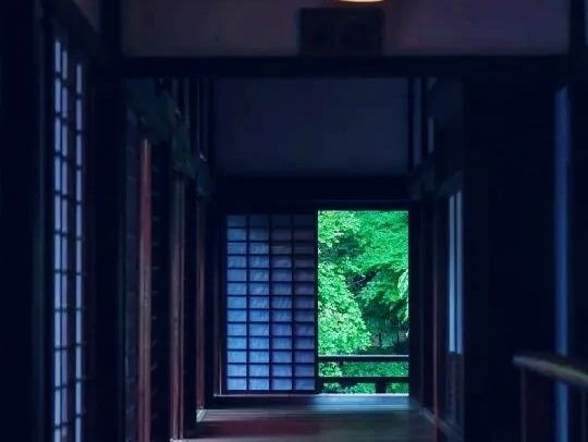 京都🇯🇵青蓮院