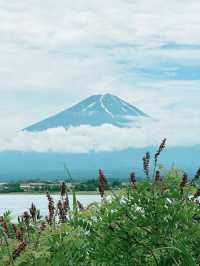 Mount Fuji View 