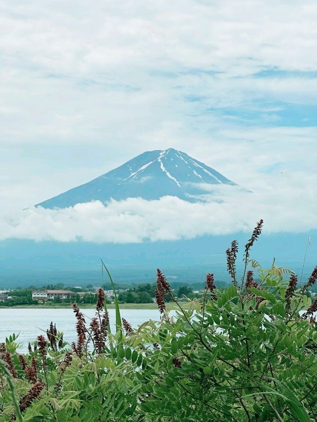 Mount Fuji View 