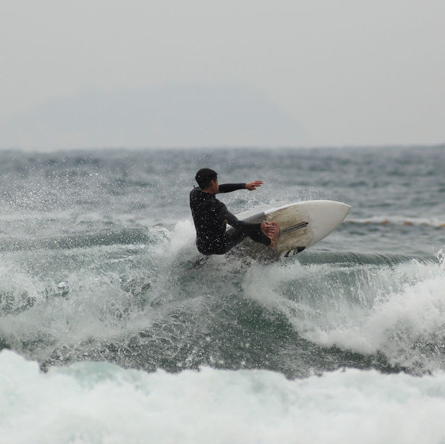 Big Wave Bay: Surf, Sun, and City Escape🏄‍♂️🌊🌿