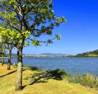 ～城市綠洲～千燈湖公園～