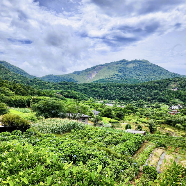 頂湖社區-草山瀑布-猴崁水圳步道-竹子湖歡樂行