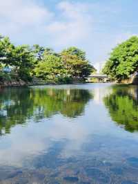 A Serene Meeting Point of Valley and Sea