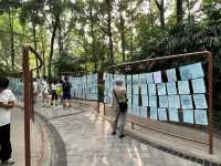 🌿☀️ Slow down and soak up the vibes at Chengdu People’s Park 人民公园