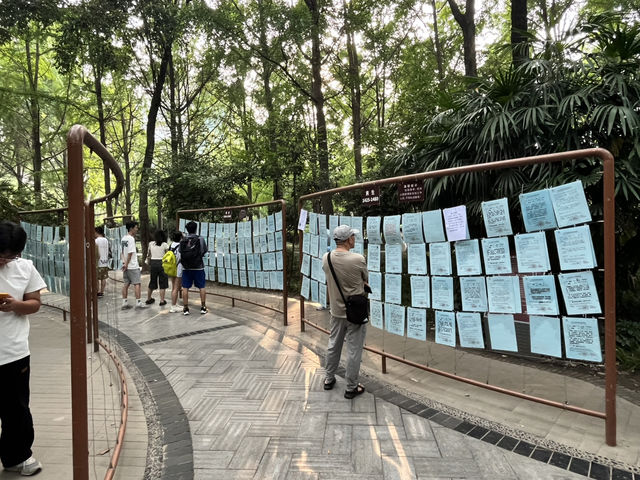 🌿☀️ Slow down and soak up the vibes at Chengdu People’s Park 人民公园