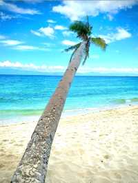 Lambug Beach, Badian: A Hidden White‑Sand Gem