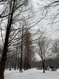 Seoul Forest in winter