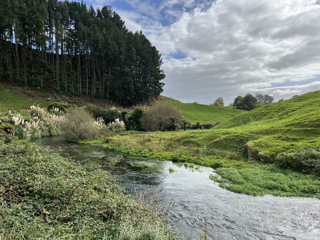 紐西蘭旅遊景點—💦 Blue Springs｜比寶礦力還清澈的湛藍夢幻水源地
