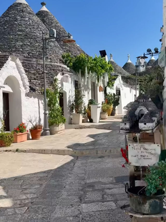 【おとぎ話の世界へ】アルベロベッロでトゥルッリの街並みに癒される旅🏡✨