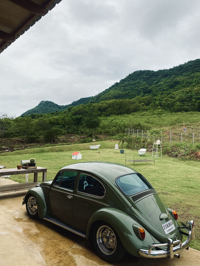 ⛰️ Daylulu - Homestay 🏡