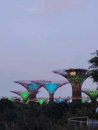 Stunning Night Views at Marina Bay Sands & Gardens by the Bay!