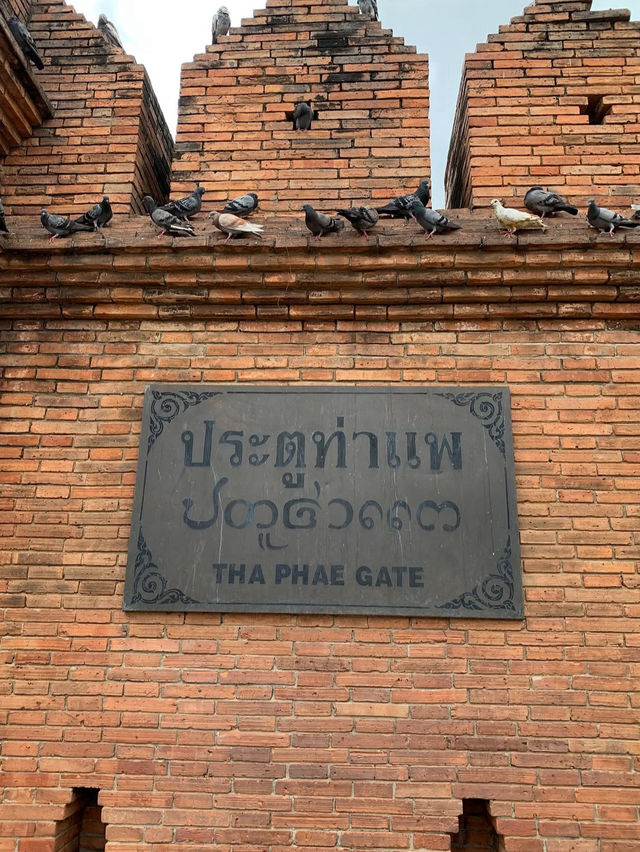 ประตูท่าแพ (Tha Phae Gate) 