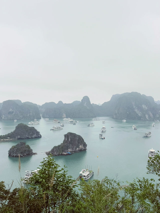 🌊 The Magic of Halong: A Day to Remember Forever 💙