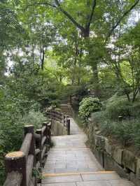 Chengdu People’s Park เดินเล่นในสวนเฉิงตู