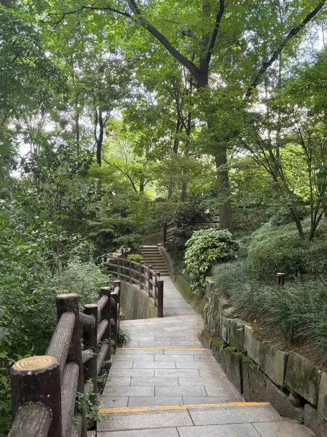 Chengdu People’s Park: A Stroll in Chengdu's Urban Oasis