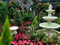Global Gardens in One Dome
