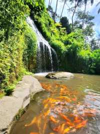Discover the Charms of Alas Harum Bali