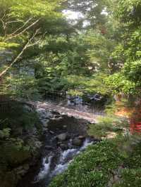 《修善寺/宿》リピ確定！創業400年の歴史ある老舗宿
