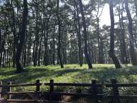 【韓国旅行】蔚山・大王岩公園