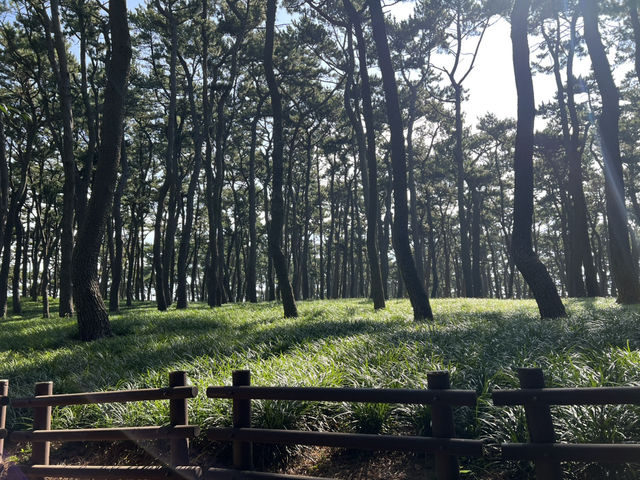 【韓国旅行】蔚山・大王岩公園