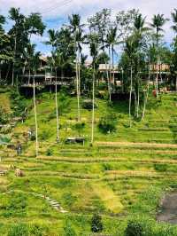 The Green Stairway to Heaven – Tegallalang Rice Terrace