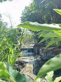 Oasis Garden: KL’s Hidden Haven of Peace and Greenery